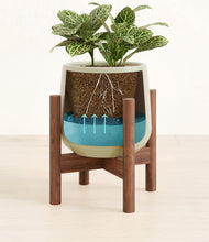 Load image into Gallery viewer, Turquoise stand:walnut