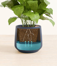 Load image into Gallery viewer, Deep Navy