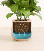 Load image into Gallery viewer, Gentle Pink