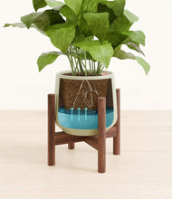 Load image into Gallery viewer, Turquoise stand:walnut