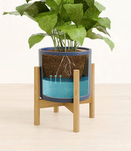Load image into Gallery viewer, Deep Navy stand:bamboo
