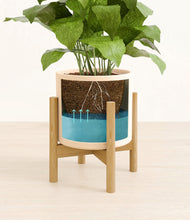 Load image into Gallery viewer, Cream stand:bamboo