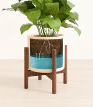 Load image into Gallery viewer, Cream stand:walnut