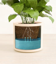 Load image into Gallery viewer, Cream