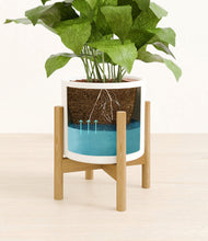Load image into Gallery viewer, White stand:bamboo