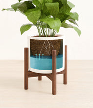 Load image into Gallery viewer, White stand:walnut