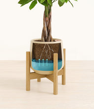 Load image into Gallery viewer, Almond Green stand:bamboo