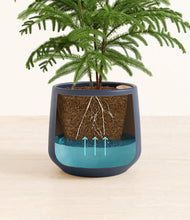 Load image into Gallery viewer, Deep Navy