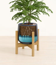 Load image into Gallery viewer, Deep Navy stand:bamboo