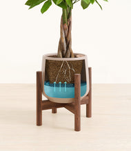 Load image into Gallery viewer, Eternal Gray stand:walnut