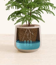 Load image into Gallery viewer, Eternal Gray