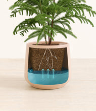 Load image into Gallery viewer, Gentle Pink