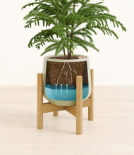 Load image into Gallery viewer, Turquoise stand:bamboo