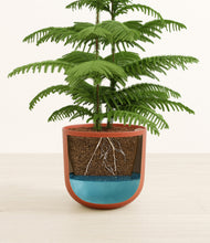 Load image into Gallery viewer, Earth Red