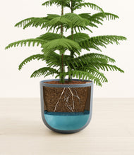 Load image into Gallery viewer, Iron Gray