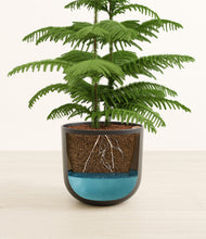 Load image into Gallery viewer, Stone Black