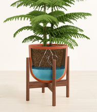 Load image into Gallery viewer, Earth Red stand:walnut