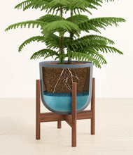 Load image into Gallery viewer, Iron Gray stand:walnut