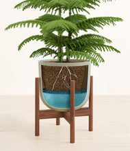 Load image into Gallery viewer, Sage Green stand:walnut