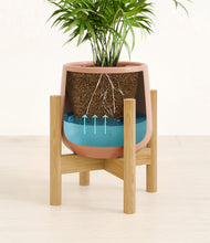 Load image into Gallery viewer, Calm Rose stand:bamboo