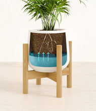 Load image into Gallery viewer, White stand:bamboo