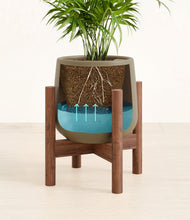 Load image into Gallery viewer, Olive stand:walnut