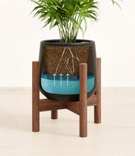 Load image into Gallery viewer, Black stand:walnut