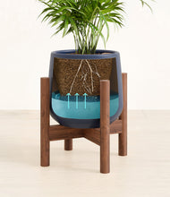 Load image into Gallery viewer, Deep Navy stand:walnut