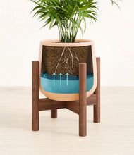 Load image into Gallery viewer, Gentle Pink stand:walnut