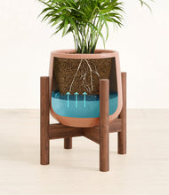 Load image into Gallery viewer, Calm Rose stand:walnut