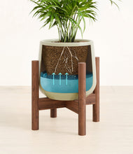 Load image into Gallery viewer, Turquoise stand:walnut