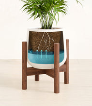 Load image into Gallery viewer, White stand:walnut