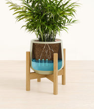 Load image into Gallery viewer, Turquoise stand:bamboo