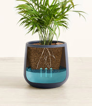 Load image into Gallery viewer, Deep Navy