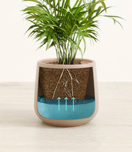 Load image into Gallery viewer, Eternal Gray