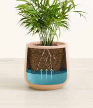 Load image into Gallery viewer, Gentle Pink