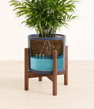 Load image into Gallery viewer, Deep Navy stand:walnut