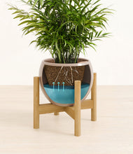 Load image into Gallery viewer, Desert Brown stand:bamboo
