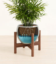 Load image into Gallery viewer, Deep Ocean stand:walnut