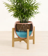 Load image into Gallery viewer, Calm Rose stand:bamboo