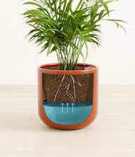 Load image into Gallery viewer, Glossy Red