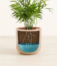 Load image into Gallery viewer, Glossy Pink