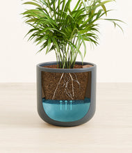 Load image into Gallery viewer, Iron Gray