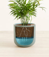 Load image into Gallery viewer, Reactive Aqua