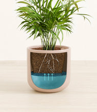 Load image into Gallery viewer, Sandy Pink