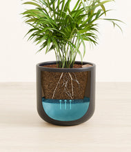 Load image into Gallery viewer, Stone Black