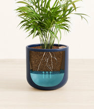 Load image into Gallery viewer, Twilight Blue