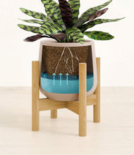 Load image into Gallery viewer, Eternal Gray stand:bamboo