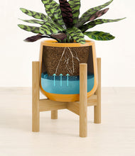 Load image into Gallery viewer, Mustard stand:bamboo