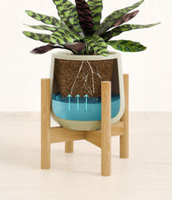 Load image into Gallery viewer, Turquoise stand:bamboo